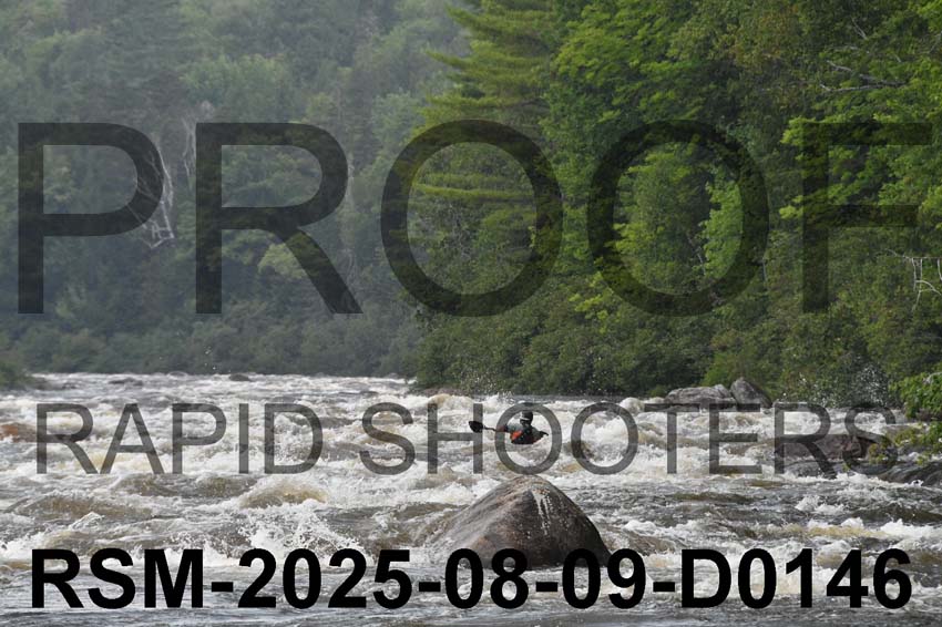 RSM-2025-08-09-D0146