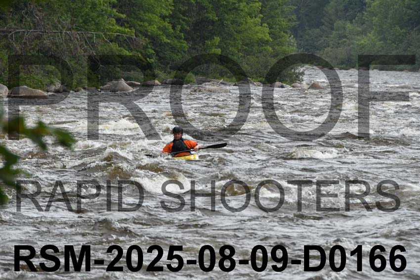 RSM-2025-08-09-D0166
