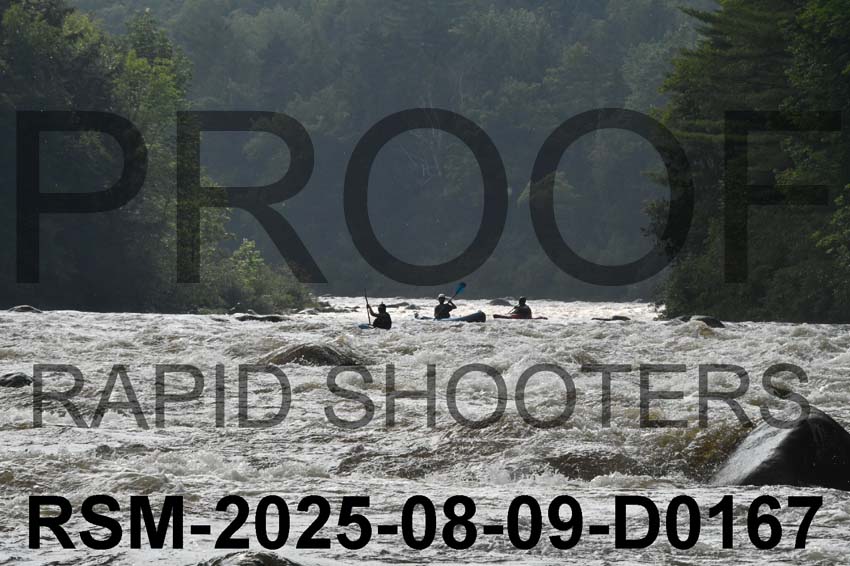 RSM-2025-08-09-D0167