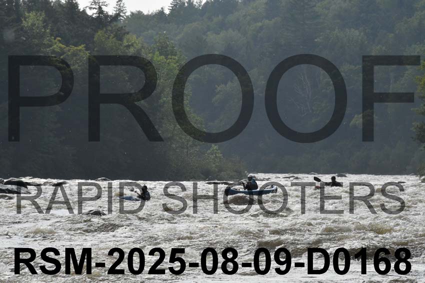RSM-2025-08-09-D0168