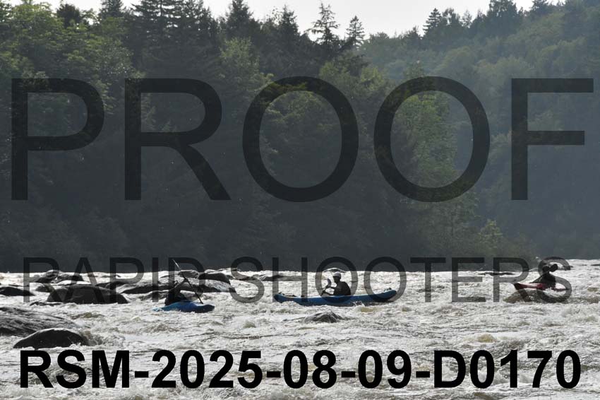 RSM-2025-08-09-D0170