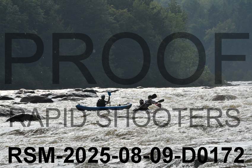 RSM-2025-08-09-D0172