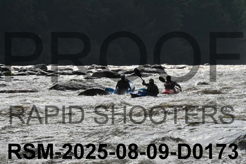 RSM-2025-08-09-D0173