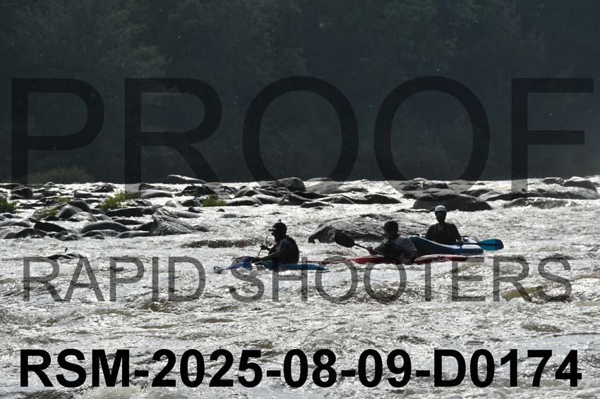 RSM-2025-08-09-D0174