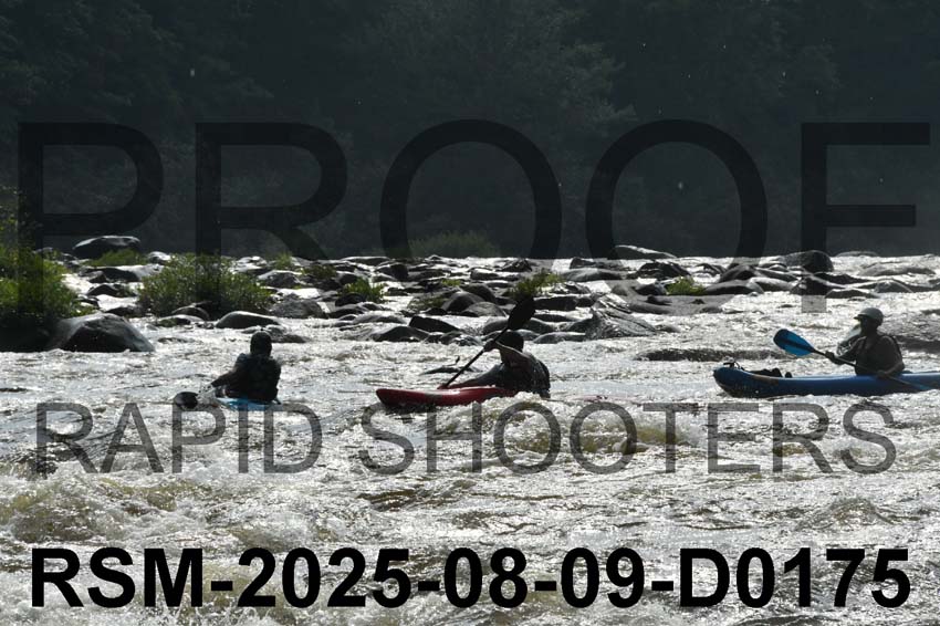 RSM-2025-08-09-D0175