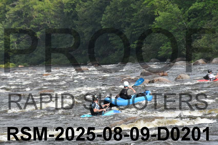 RSM-2025-08-09-D0201