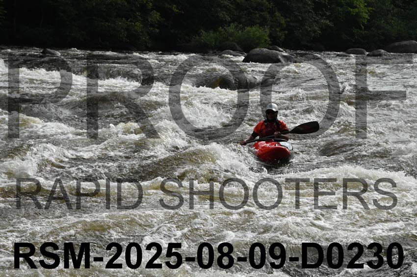 RSM-2025-08-09-D0230