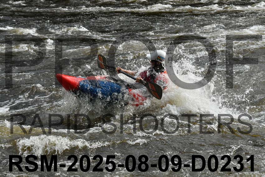 RSM-2025-08-09-D0231