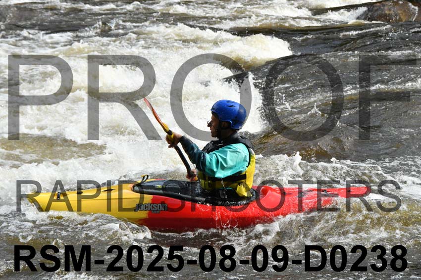 RSM-2025-08-09-D0238