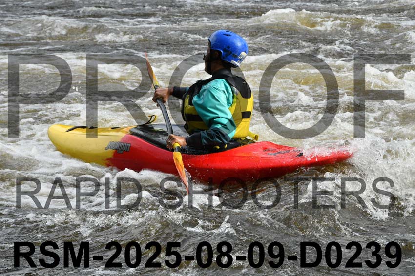 RSM-2025-08-09-D0239