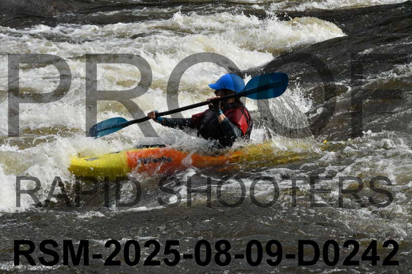 RSM-2025-08-09-D0242