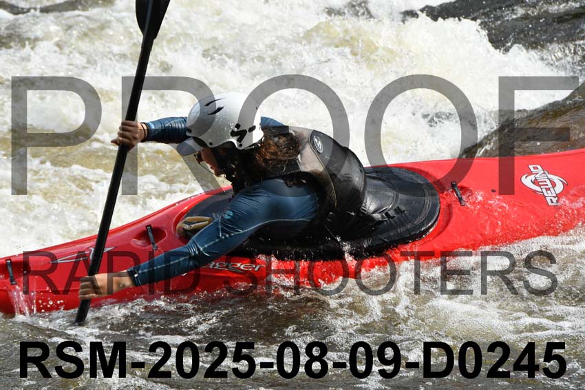 RSM-2025-08-09-D0245