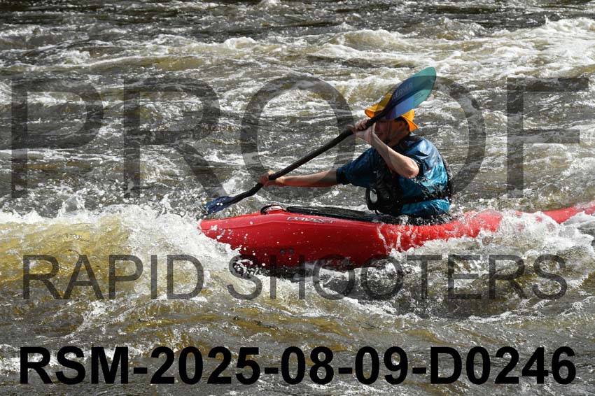 RSM-2025-08-09-D0246