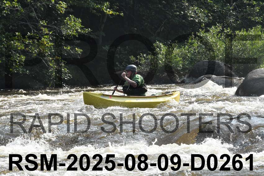 RSM-2025-08-09-D0261