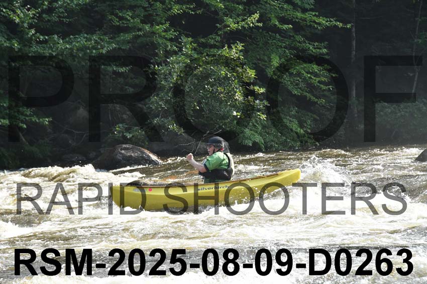 RSM-2025-08-09-D0263