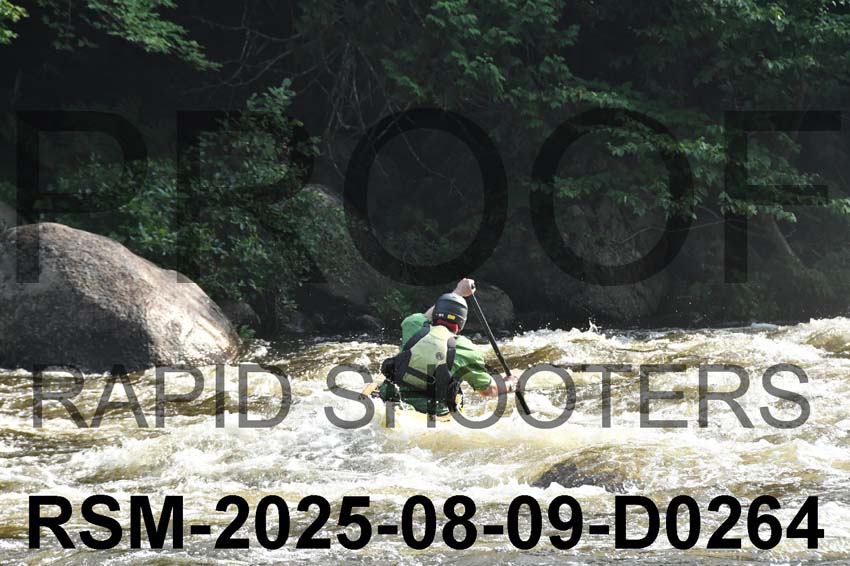 RSM-2025-08-09-D0264