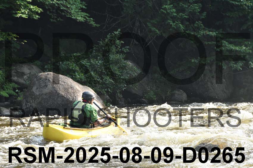 RSM-2025-08-09-D0265