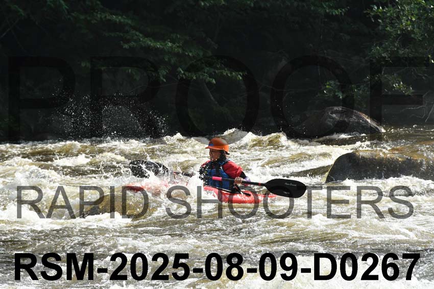 RSM-2025-08-09-D0267