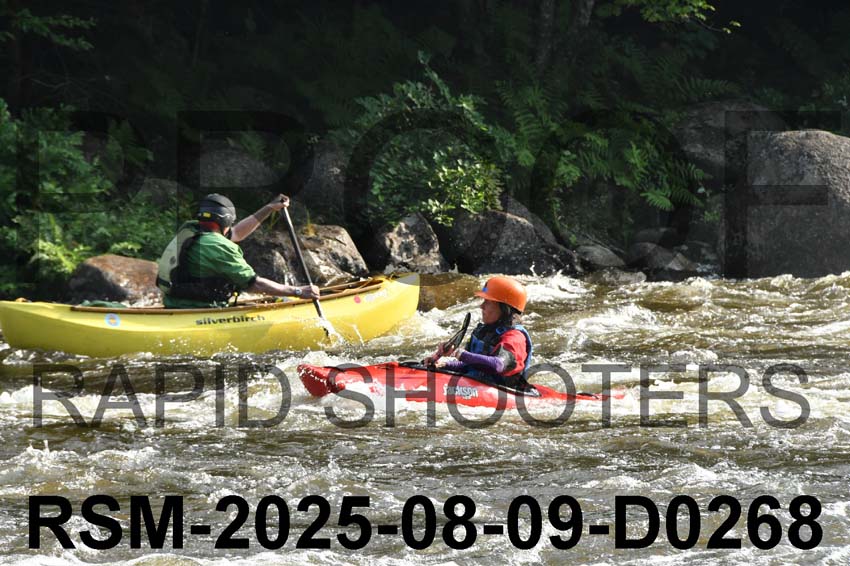 RSM-2025-08-09-D0268