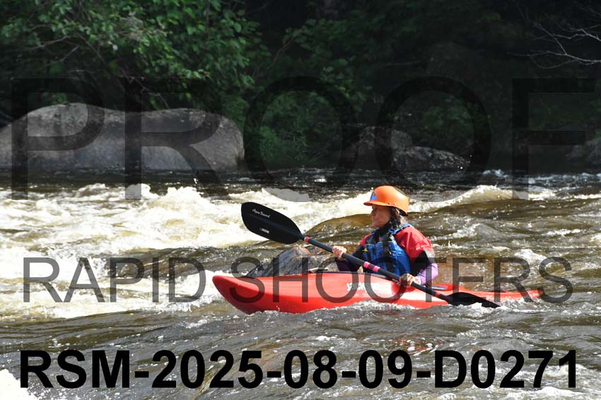 RSM-2025-08-09-D0271