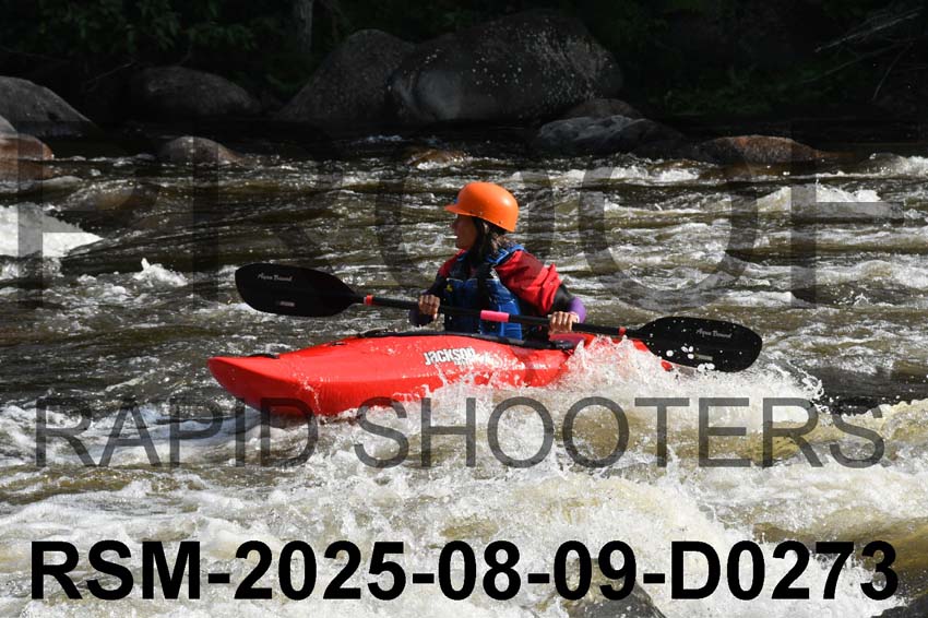 RSM-2025-08-09-D0273