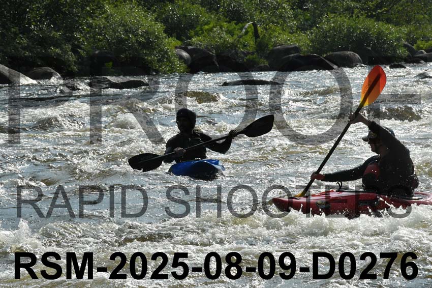 RSM-2025-08-09-D0276