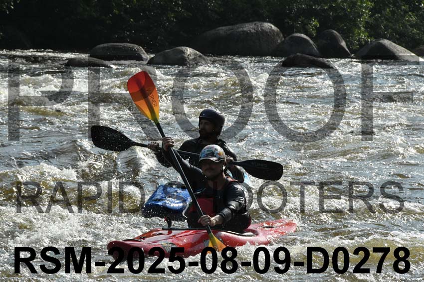 RSM-2025-08-09-D0278