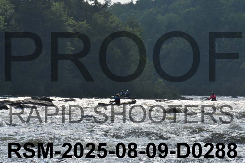 RSM-2025-08-09-D0288