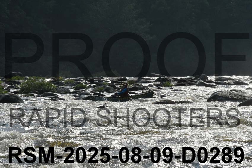 RSM-2025-08-09-D0289
