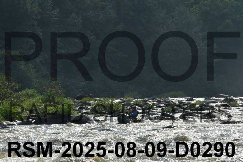 RSM-2025-08-09-D0290