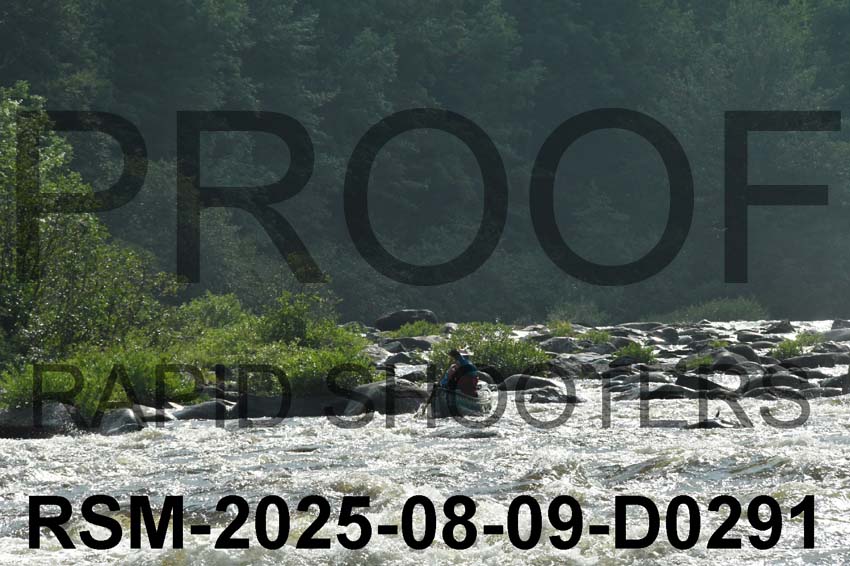 RSM-2025-08-09-D0291