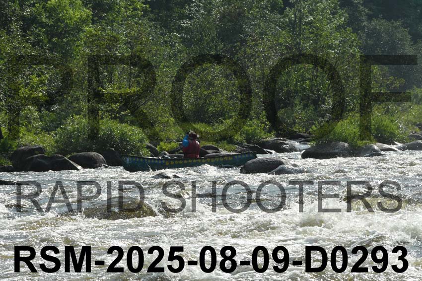 RSM-2025-08-09-D0293
