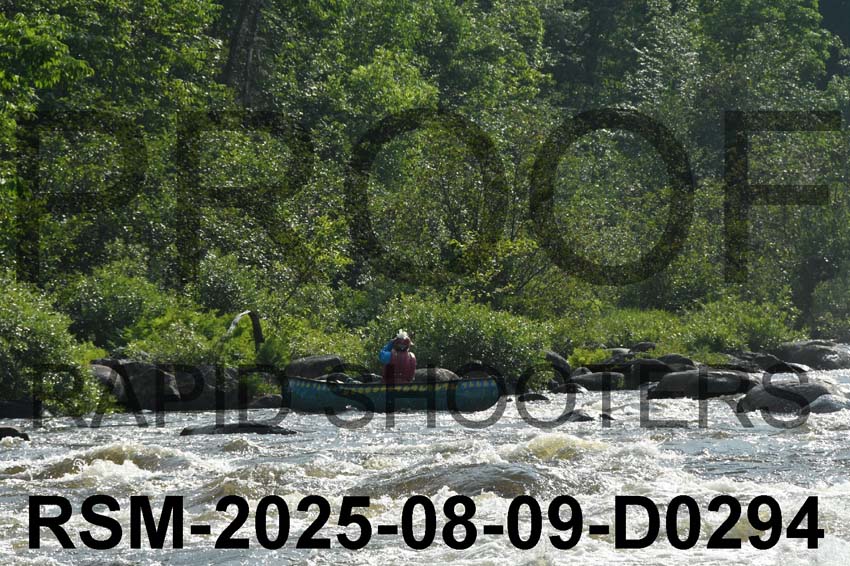 RSM-2025-08-09-D0294