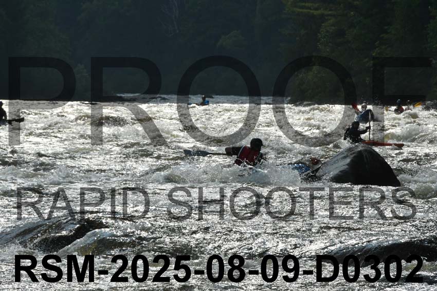 RSM-2025-08-09-D0302