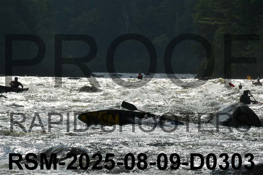 RSM-2025-08-09-D0303