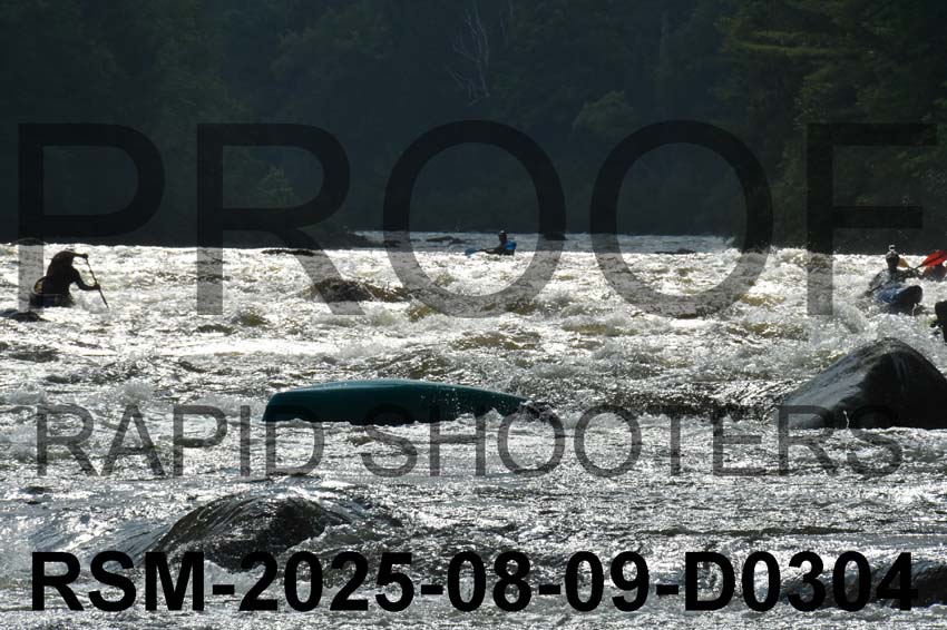 RSM-2025-08-09-D0304