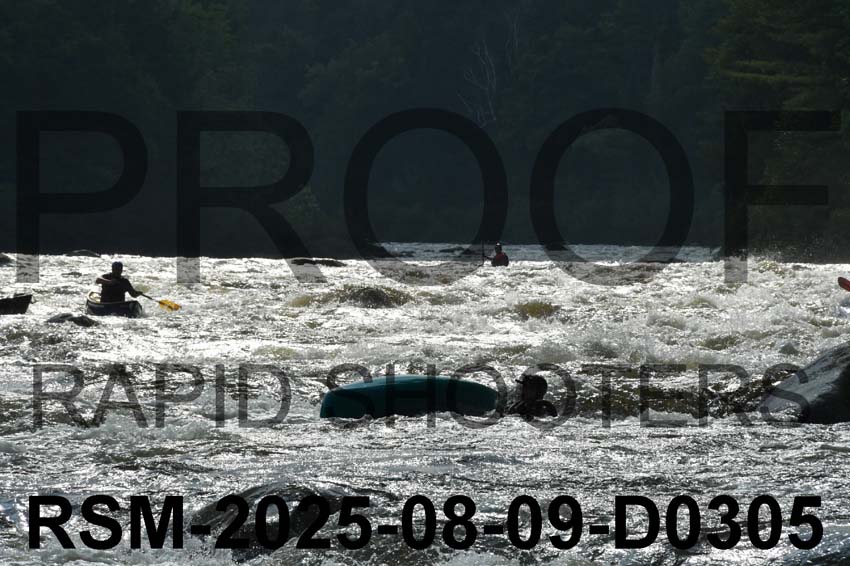 RSM-2025-08-09-D0305