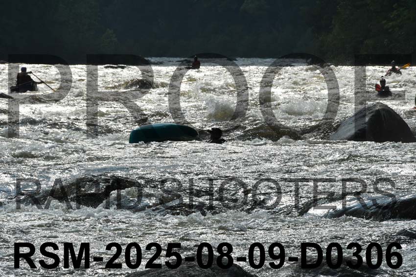 RSM-2025-08-09-D0306