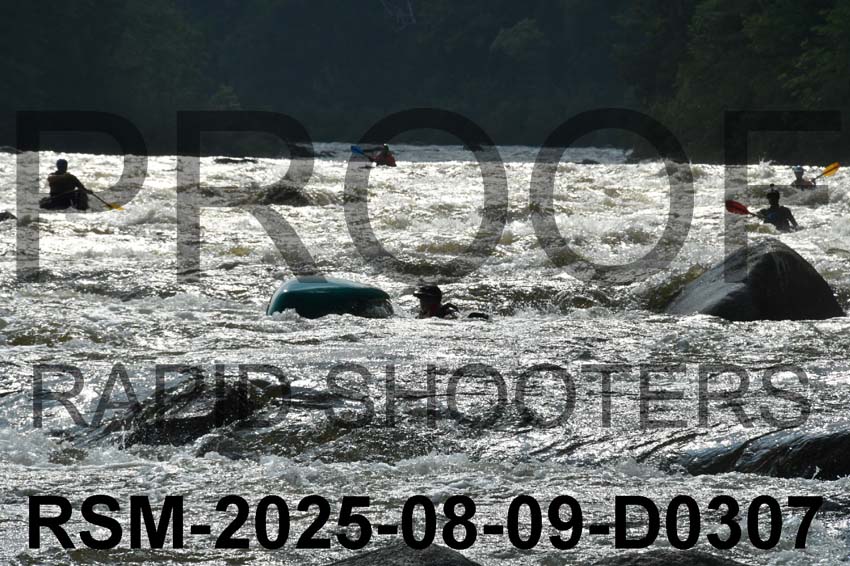 RSM-2025-08-09-D0307