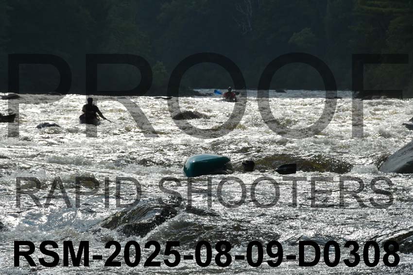 RSM-2025-08-09-D0308