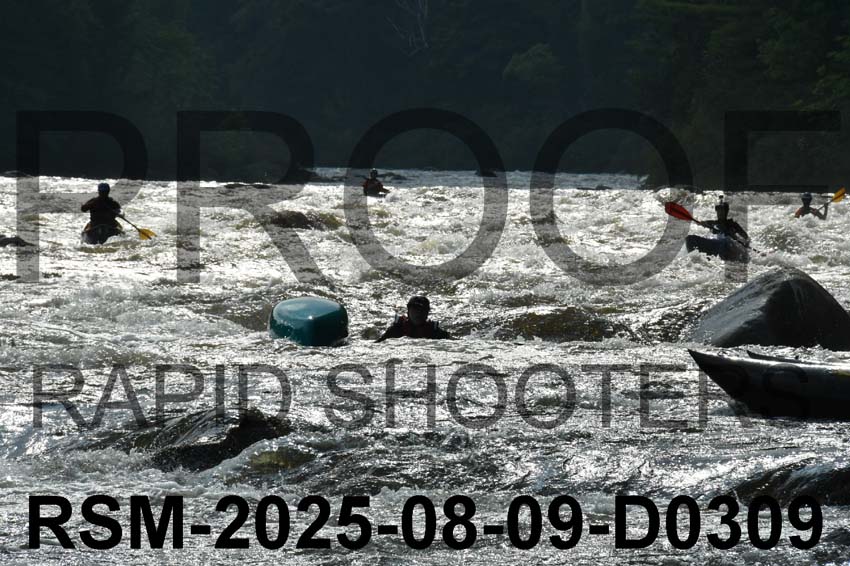 RSM-2025-08-09-D0309