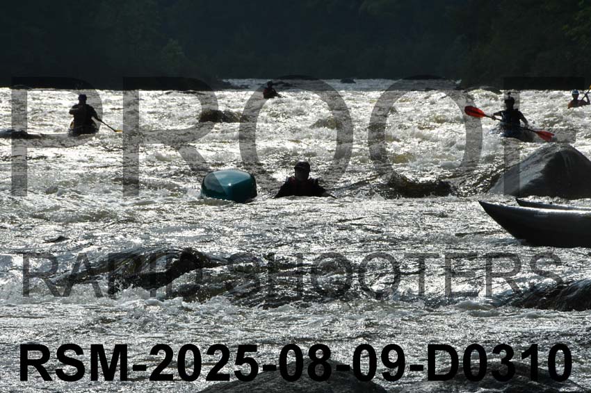 RSM-2025-08-09-D0310