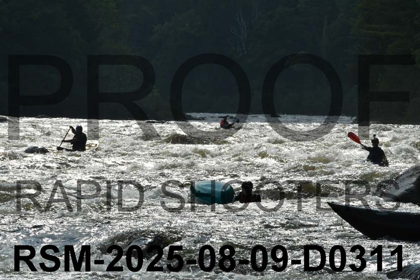RSM-2025-08-09-D0311