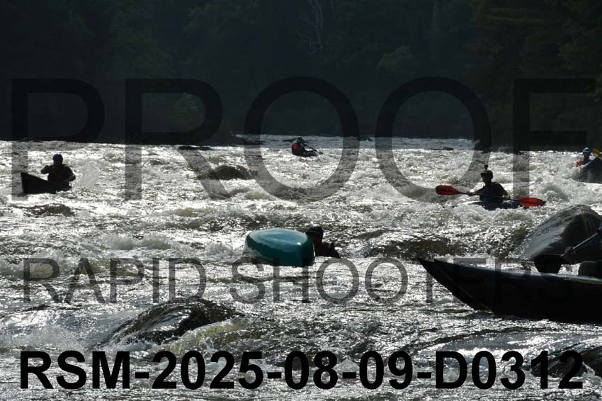 RSM-2025-08-09-D0312