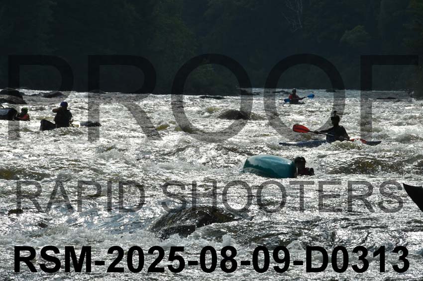 RSM-2025-08-09-D0313