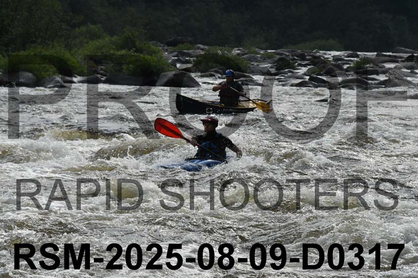 RSM-2025-08-09-D0317