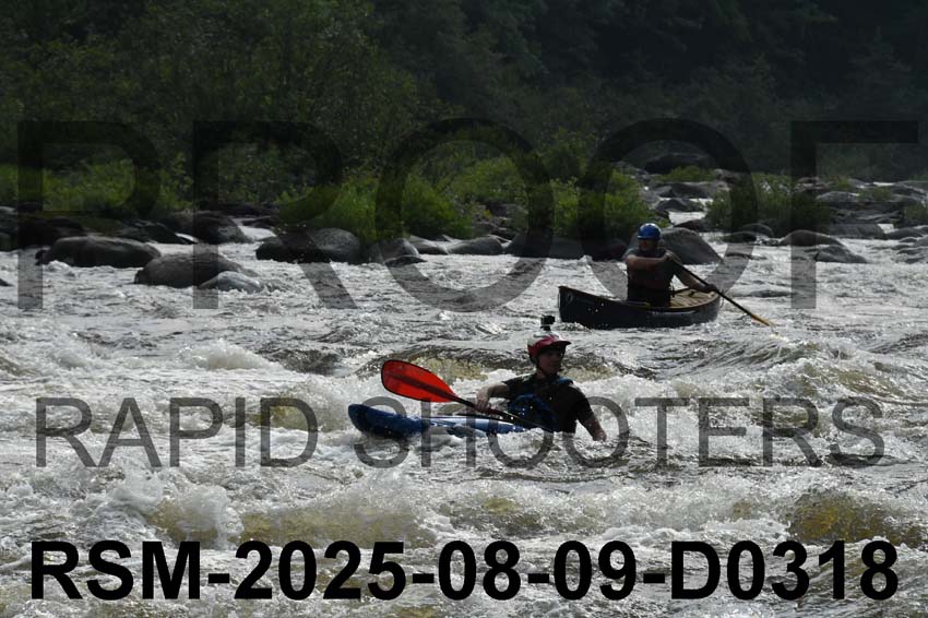 RSM-2025-08-09-D0318