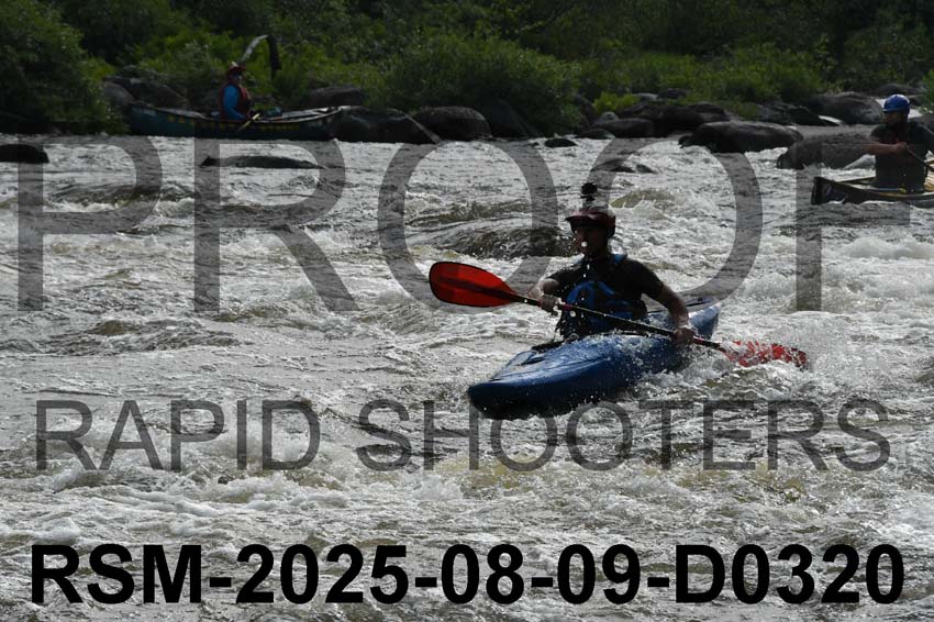 RSM-2025-08-09-D0320
