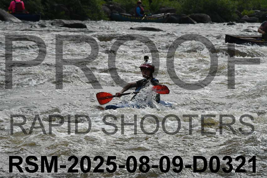 RSM-2025-08-09-D0321