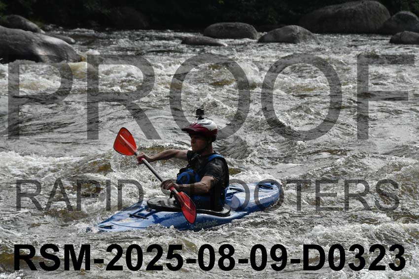RSM-2025-08-09-D0323